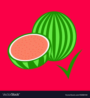 Flat fresh and juicy whole watermelons and slices vector image