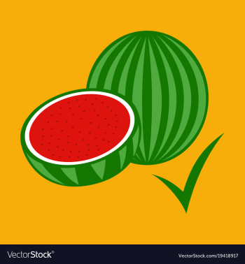 Flat fresh and juicy whole watermelons and slices vector image