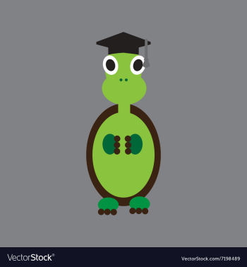 Flat icon on gray background turtle cartoon vector image Flat icon on gray background turtle cartoon vector image
