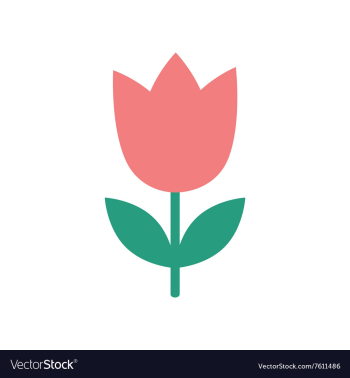 Flat icon on white background tulip blooms vector image Flat icon on white background tulip blooms vector image