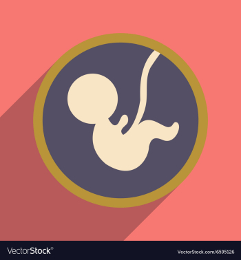 Flat icon with long shadow child in womb vector image