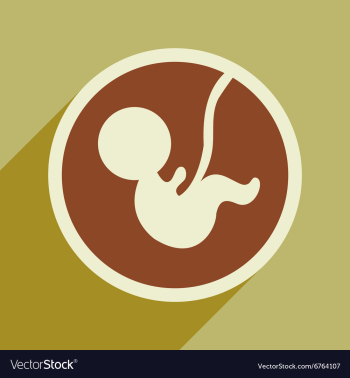 Flat icon with long shadow child in womb vector image