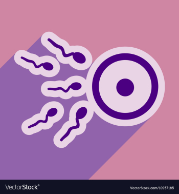 Flat icon with long shadow sperm and egg vector image