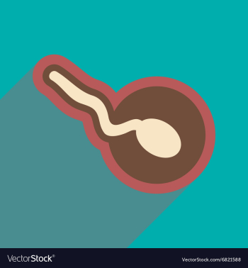 Flat icon with long shadow sperm and egg vector image