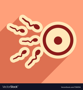 Flat icon with long shadow sperm and egg vector image