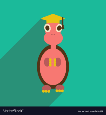 Flat icon with long shadow turtle cartoon vector image Flat icon with long shadow turtle cartoon vector image