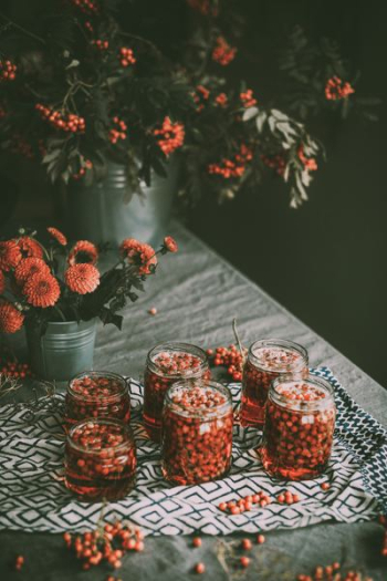 flat lay photography of glass flat lay photography of glass