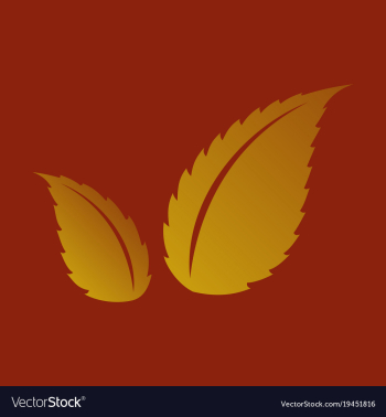 Flat leaves logo template vector image Flat leaves logo template vector image