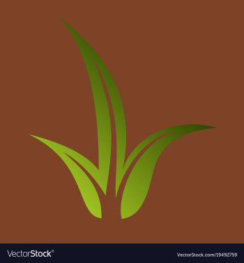 Flat leaves logo template vector image Flat leaves logo template vector image