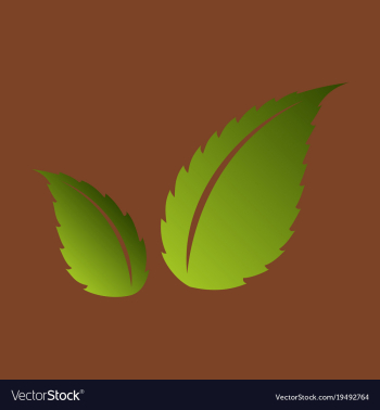 Flat leaves logo template vector image Flat leaves logo template vector image