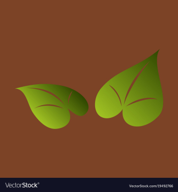 Flat leaves logo template vector image Flat leaves logo template vector image