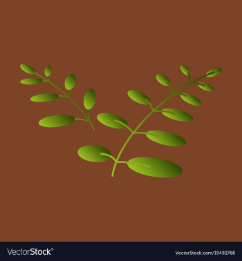 Flat leaves logo template vector image Flat leaves logo template vector image