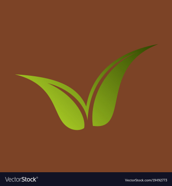 Flat leaves logo template vector image Flat leaves logo template vector image