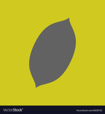 Flat lemon fresh lemon fruits vector image Flat lemon fresh lemon fruits vector image