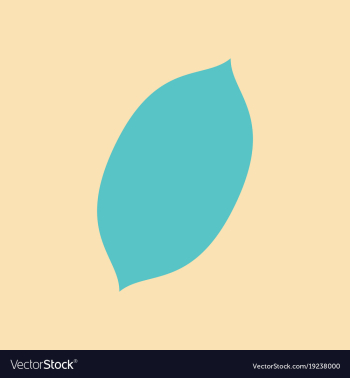 Flat lemon fresh lemon fruits vector image Flat lemon fresh lemon fruits vector image