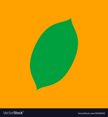 Flat lemon fresh lemon fruits vector image Flat lemon fresh lemon fruits vector image