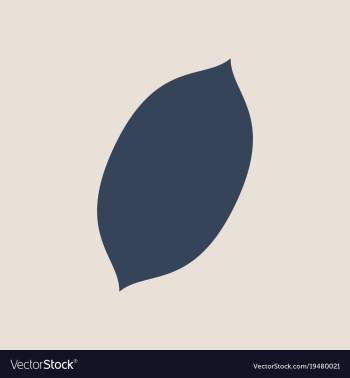 Flat lemon fresh lemon fruits vector image Flat lemon fresh lemon fruits vector image