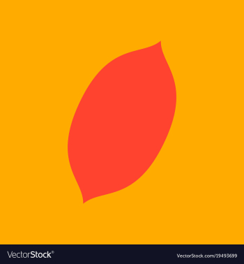 Flat lemon fresh lemon fruits vector image Flat lemon fresh lemon fruits vector image