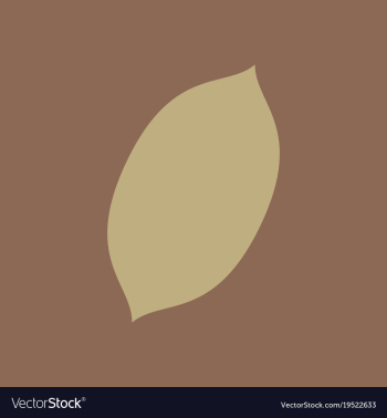 Flat lemon fresh lemon fruits vector image Flat lemon fresh lemon fruits vector image