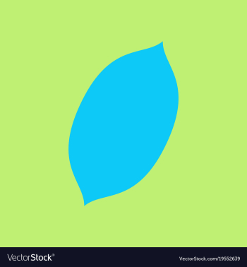 Flat lemon fresh lemon fruits vector image Flat lemon fresh lemon fruits vector image