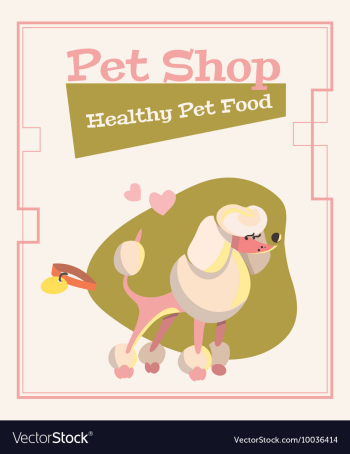 Flat Set vector image