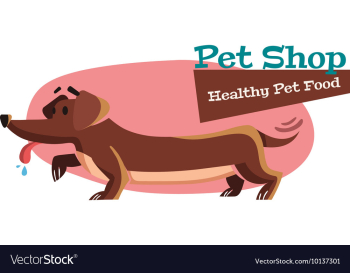 Flat Set vector image