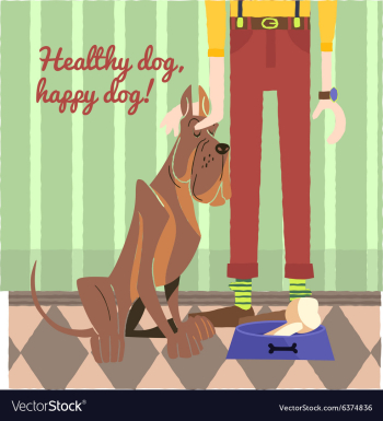 Flat Set vector image