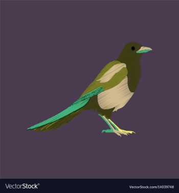 Flat shading style icon magpie vector image