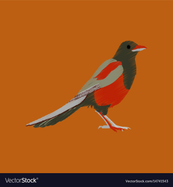 Flat shading style icon magpie vector image