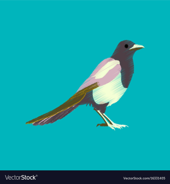 Flat shading style icon magpie vector image