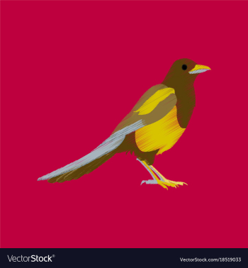 Flat shading style icon magpie vector image