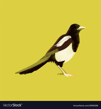 Flat shading style icon magpie vector image
