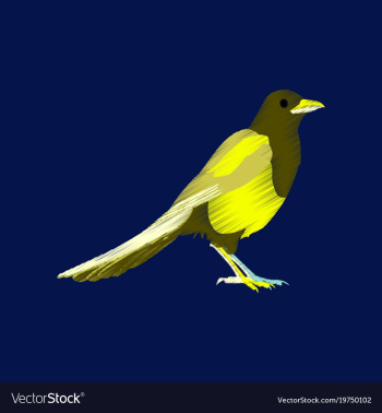 Flat shading style icon magpie vector image