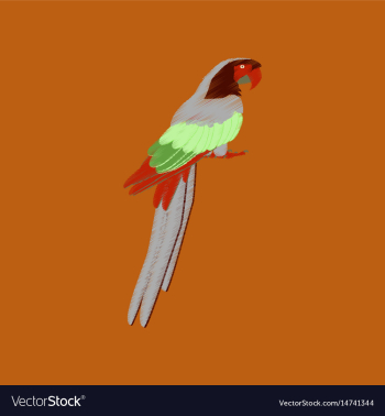 Flat shading style icon parrot vector image Flat shading style icon parrot vector image