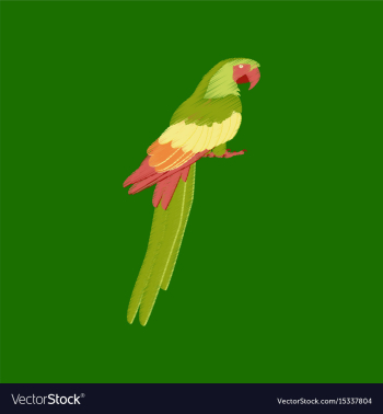 Flat shading style icon parrot vector image Flat shading style icon parrot vector image