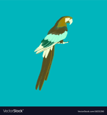 Flat shading style icon parrot vector image Flat shading style icon parrot vector image