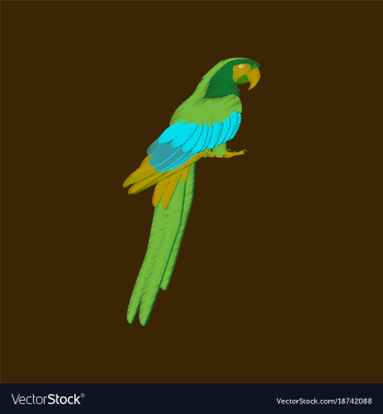 Flat shading style icon parrot vector image Flat shading style icon parrot vector image
