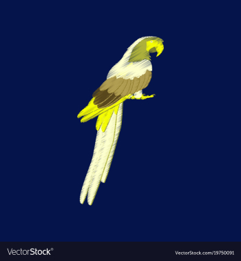 Flat shading style icon parrot vector image Flat shading style icon parrot vector image