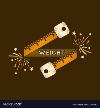 Flat shading style icon weight loss logo vector image Flat shading style icon weight loss logo vector image