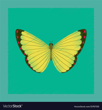 Flat shading style insect butterfly vector image Flat shading style insect butterfly vector image