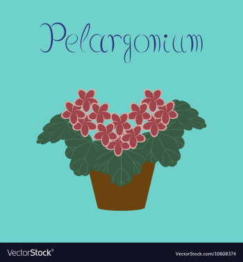 Flat stylish background plant vector image Flat stylish background plant vector image