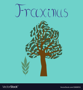Flat stylish background plant vector image Flat stylish background plant vector image
