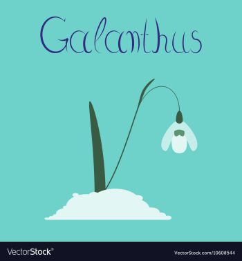 Flat stylish background plant vector image Flat stylish background plant vector image