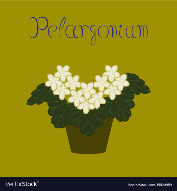 Flat stylish background plant vector image Flat stylish background plant vector image