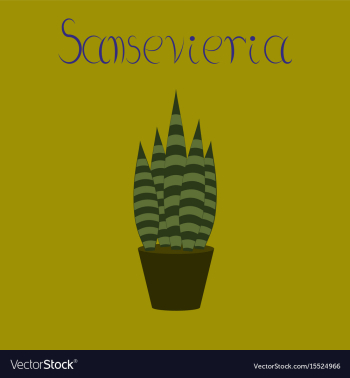 Flat stylish background plant vector image Flat stylish background plant vector image