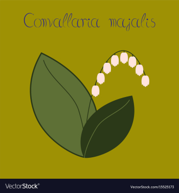 Flat stylish background plant vector image Flat stylish background plant vector image