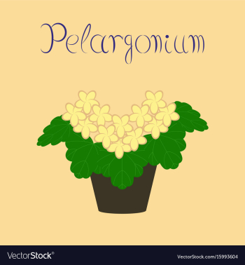 Flat stylish background plant vector image Flat stylish background plant vector image