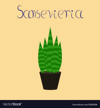 Flat stylish background plant vector image Flat stylish background plant vector image