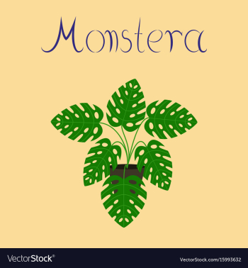 Flat stylish background plant vector image Flat stylish background plant vector image