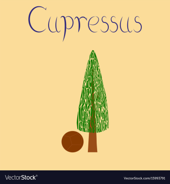 Flat stylish background plant vector image Flat stylish background plant vector image